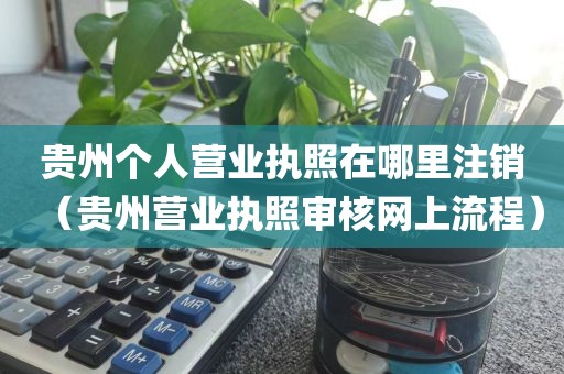 贵州个人营业执照在哪里注销（贵州营业执照审核网上流程）
