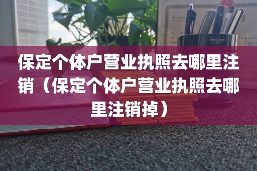 保定个体户营业执照去哪里注销（保定个体户营业执照去哪里注销掉）