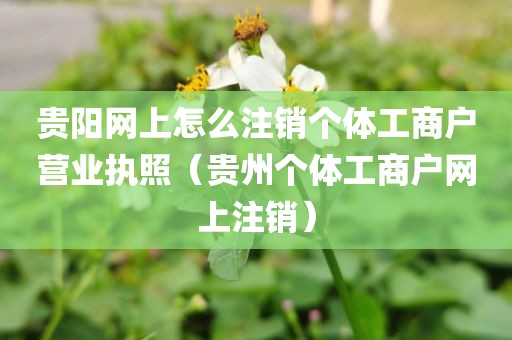 贵阳网上怎么注销个体工商户营业执照（贵州个体工商户网上注销）