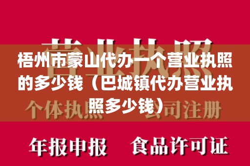 梧州市蒙山代办一个营业执照的多少钱（巴城镇代办营业执照多少钱）