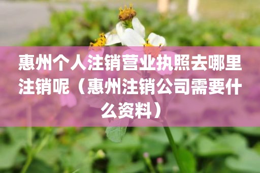 惠州个人注销营业执照去哪里注销呢(惠州注销公司需要什么资料)