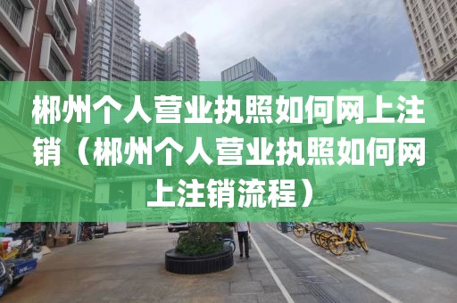 郴州个人营业执照如何网上注销（郴州个人营业执照如何网上注销流程）
