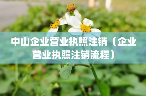 中山企业营业执照注销（企业营业执照注销流程）
