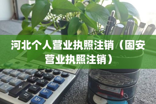 河北个人营业执照注销(固安营业执照注销)