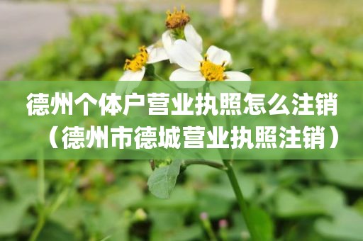 德州个体户营业执照怎么注销（德州市德城营业执照注销）