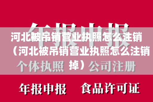 河北被吊销营业执照怎么注销（河北被吊销营业执照怎么注销掉）