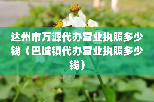 达州市万源代办营业执照多少钱（巴城镇代办营业执照多少钱）