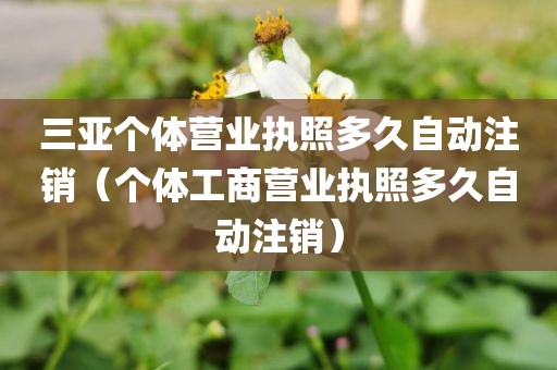 三亚个体营业执照多久自动注销（个体工商营业执照多久自动注销）