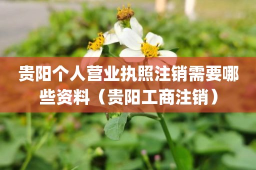 贵阳个人营业执照注销需要哪些资料（贵阳工商注销）