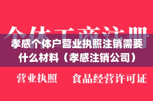 孝感个体户营业执照注销需要什么材料（孝感注销公司）