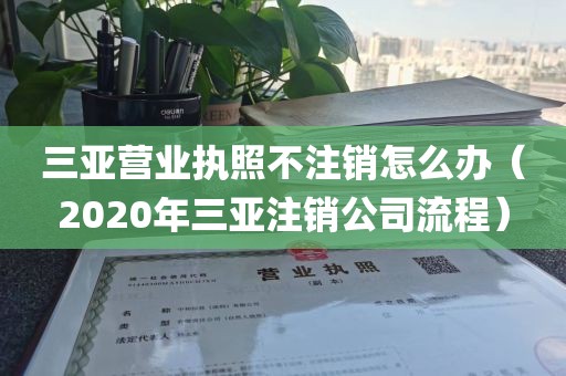 三亚营业执照不注销怎么办（2020年三亚注销公司流程）