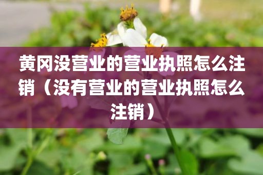 黄冈没营业的营业执照怎么注销（没有营业的营业执照怎么注销）