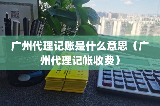 广州代理记账是什么意思（广州代理记帐收费）