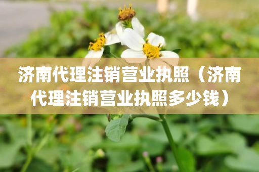 济南代理注销营业执照（济南代理注销营业执照多少钱）