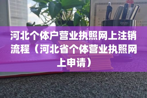 河北个体户营业执照网上注销流程(河北省个体营业执照网上申请)