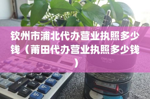 钦州市浦北代办营业执照多少钱（莆田代办营业执照多少钱）