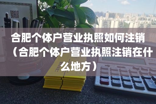 合肥个体户营业执照如何注销（合肥个体户营业执照注销在什么地方）