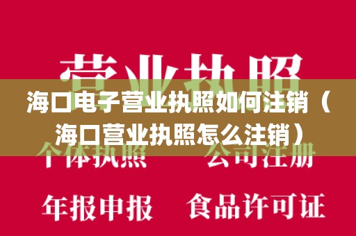 海口电子营业执照如何注销（海口营业执照怎么注销）