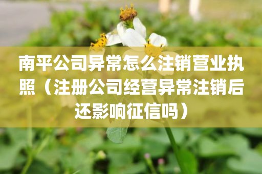 南平公司异常怎么注销营业执照（注册公司经营异常注销后还影响征信吗）