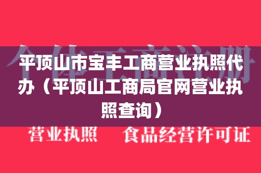 平顶山市宝丰工商营业执照代办（平顶山工商局官网营业执照查询）
