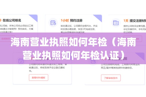 海南营业执照如何年检（海南营业执照如何年检认证）
