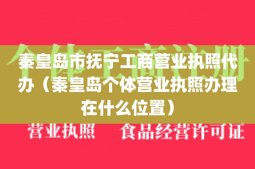 秦皇岛市抚宁工商营业执照代办（秦皇岛个体营业执照办理在什么位置）