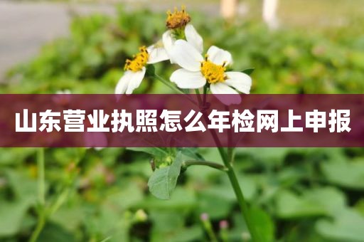 山东营业执照怎么年检网上申报