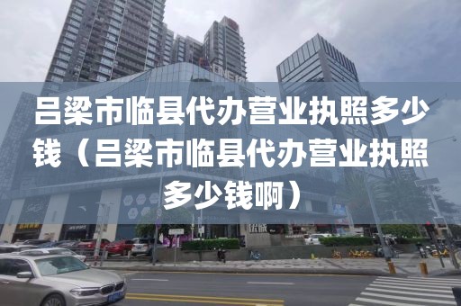 吕梁市临县代办营业执照多少钱（吕梁市临县代办营业执照多少钱啊）