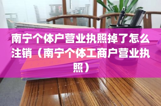 南宁个体户营业执照掉了怎么注销（南宁个体工商户营业执照）