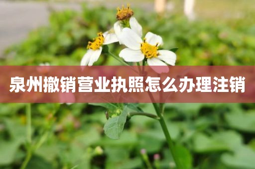 泉州撤销营业执照怎么办理注销