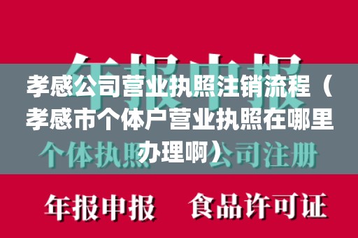 孝感公司营业执照注销流程（孝感市个体户营业执照在哪里办理啊）