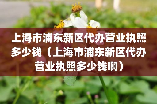 上海市浦东新区代办营业执照多少钱(上海市浦东新区代办营业执照多少钱啊)