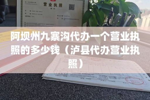 阿坝州九寨沟代办一个营业执照的多少钱（泸县代办营业执照）