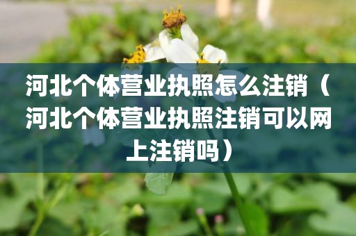 河北个体营业执照怎么注销（河北个体营业执照注销可以网上注销吗）