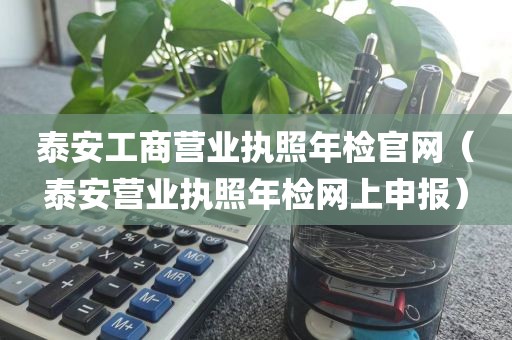 泰安工商营业执照年检官网（泰安营业执照年检网上申报）