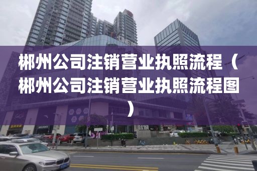 郴州公司注销营业执照流程（郴州公司注销营业执照流程图）