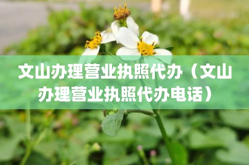 文山办理营业执照代办(文山办理营业执照代办电话)