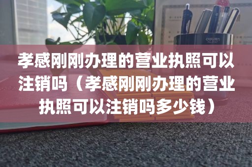 孝感刚刚办理的营业执照可以注销吗（孝感刚刚办理的营业执照可以注销吗多少钱）