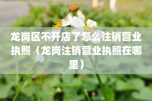 龙岗区不开店了怎么注销营业执照（龙岗注销营业执照在哪里）
