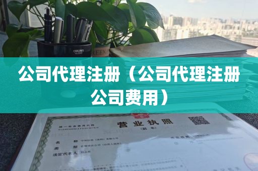 公司代理注册（公司代理注册公司费用）