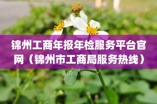 锦州工商年报年检服务平台官网（锦州市工商局服务热线）
