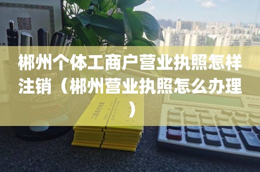 郴州个体工商户营业执照怎样注销（郴州营业执照怎么办理）