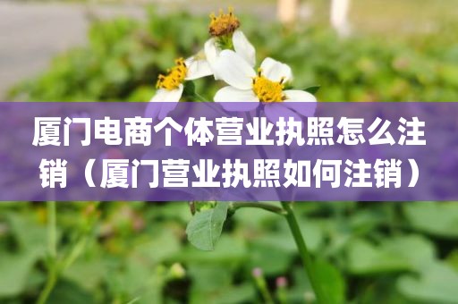 厦门电商个体营业执照怎么注销（厦门营业执照如何注销）