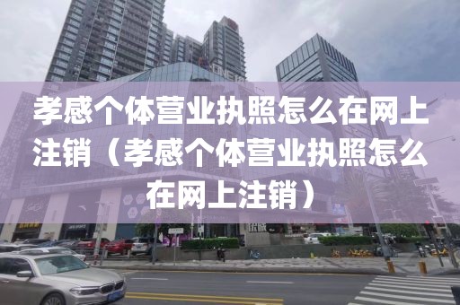孝感个体营业执照怎么在网上注销(孝感个体营业执照怎么在网上注销)
