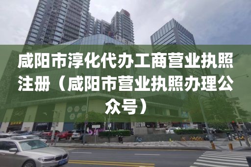 咸阳市淳化代办工商营业执照注册（咸阳市营业执照办理公众号）