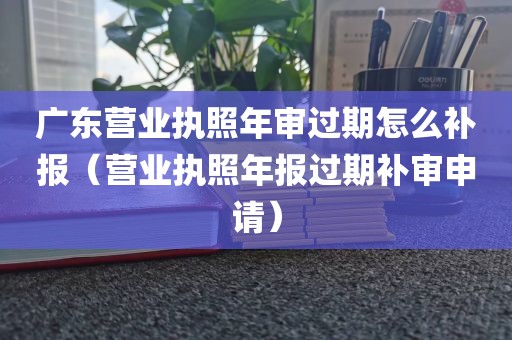 广东营业执照年审过期怎么补报（营业执照年报过期补审申请）