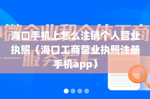 海口手机上怎么注销个人营业执照（海口工商营业执照注册手机app）