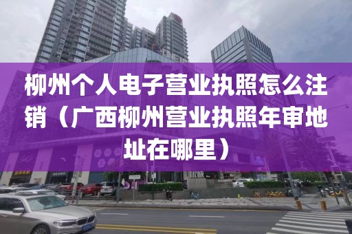 柳州个人电子营业执照怎么注销（广西柳州营业执照年审地址在哪里）