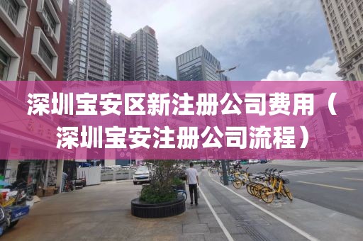 深圳宝安区新注册公司费用（深圳宝安注册公司流程）