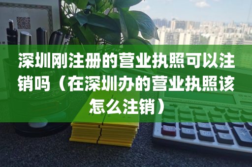 深圳刚注册的营业执照可以注销吗（在深圳办的营业执照该怎么注销）